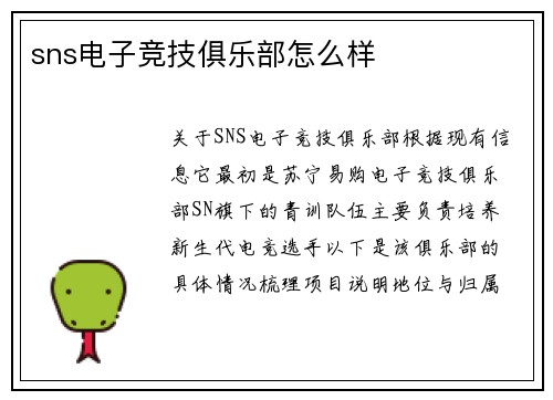 sns电子竞技俱乐部怎么样